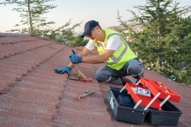 Best Roof Gutter Cleaning  in Owingsville, KY